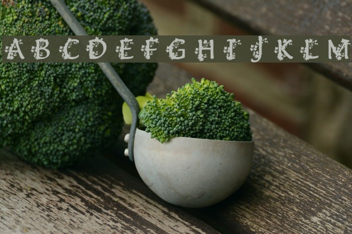 Deanna's Ivy Caps Font examples