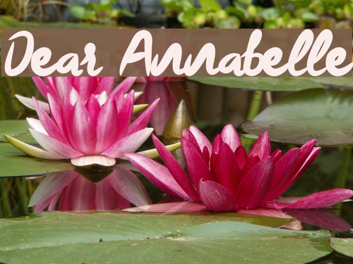 Dear Annabelle Font examples