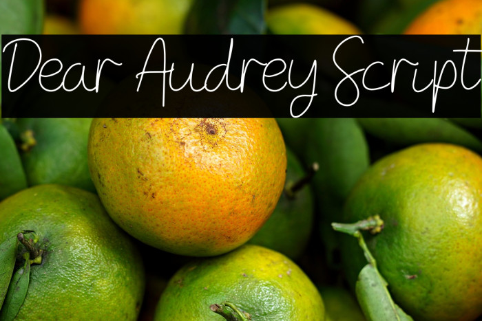 Dear Audrey Script Example 2