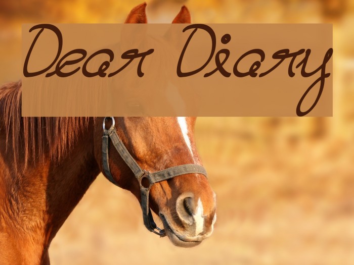 Dear Diary Font examples