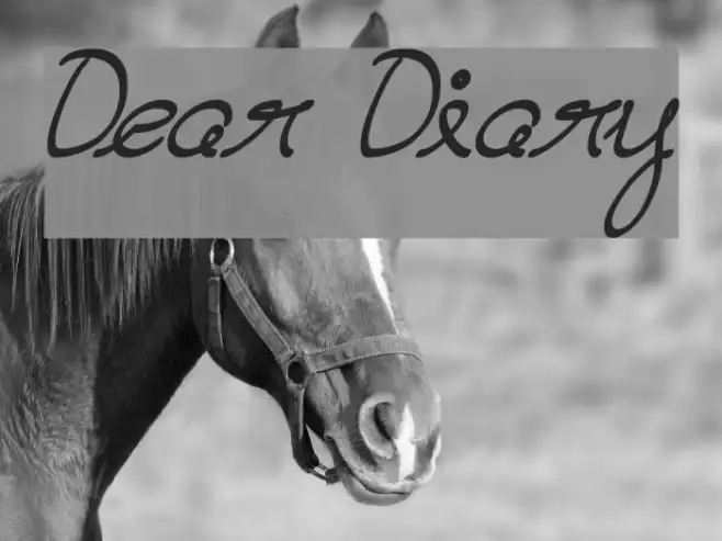 Dear Diary Example 1