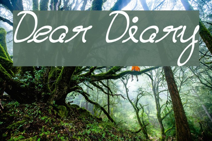 Dear Diary Font examples