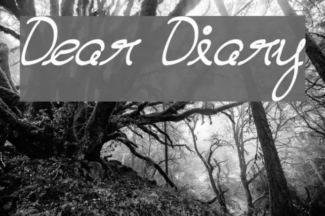 Dear Diary Example 2