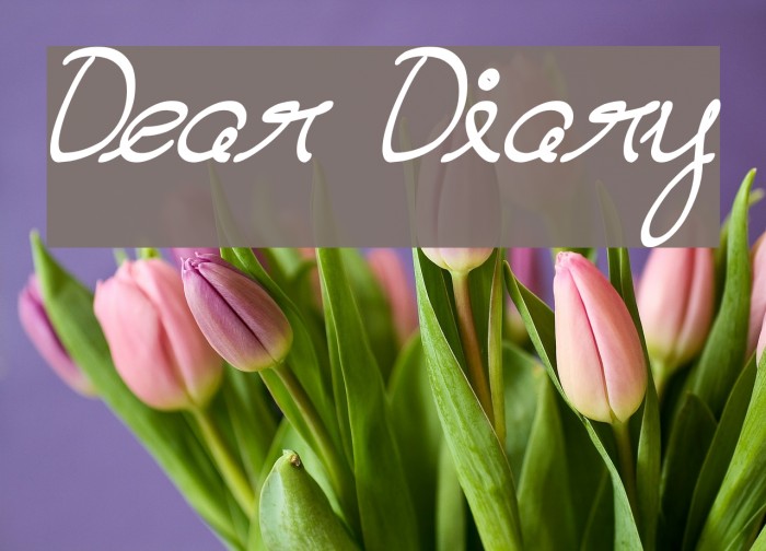 Dear Diary Font examples