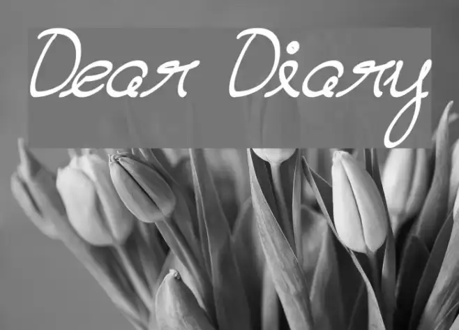Dear Diary Example 3