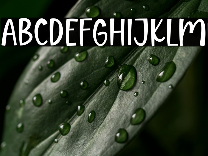 Dear Dreamer Example 1