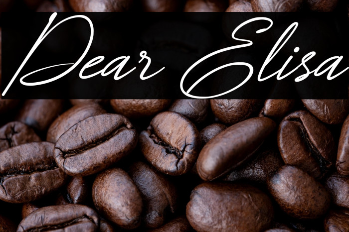Dear Elisa Example 2