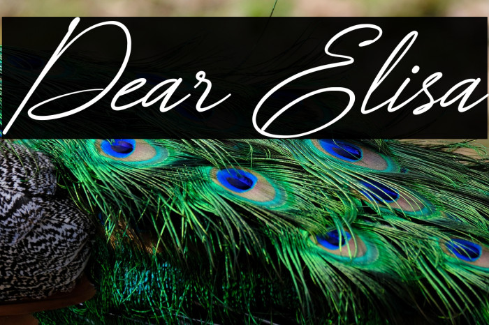 Dear Elisa Example 3