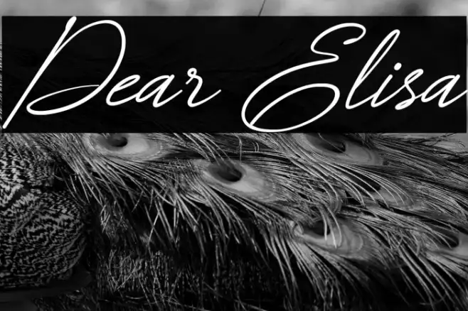 Dear Elisa Example 3