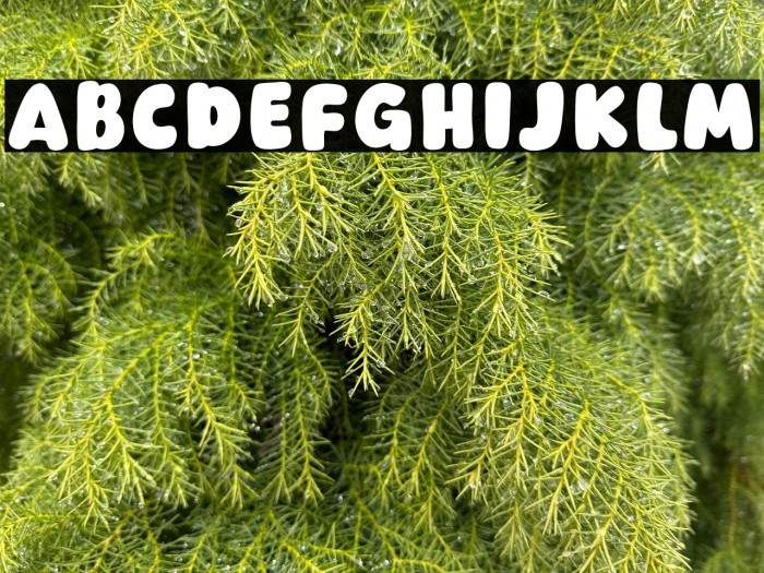 Dear Grandma Example 3