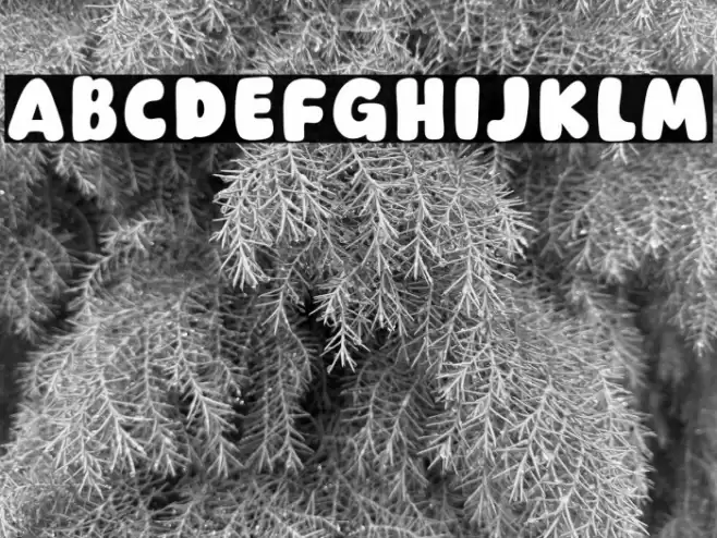 Dear Grandma Font examples