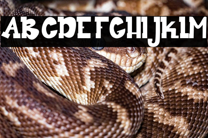 Dear My Bro Example 1