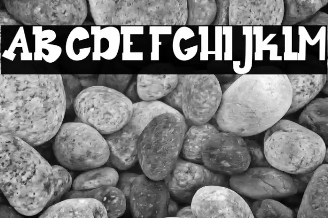 Dear My Bro Polices examples