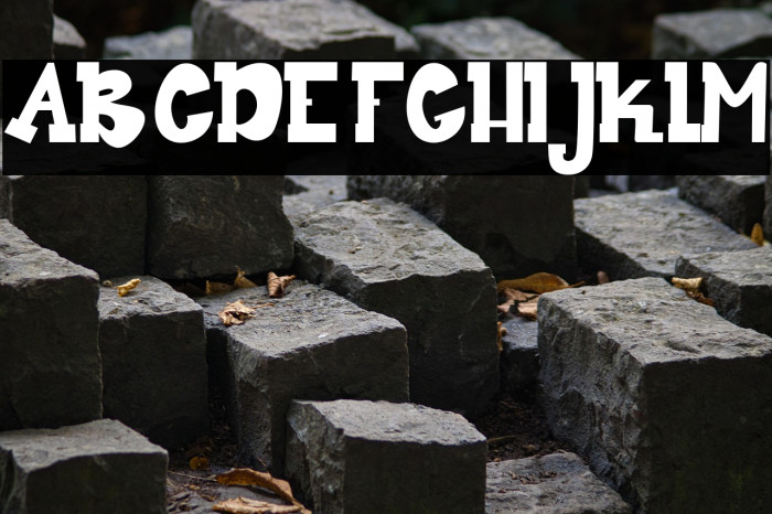 Dear My Bro Example 3