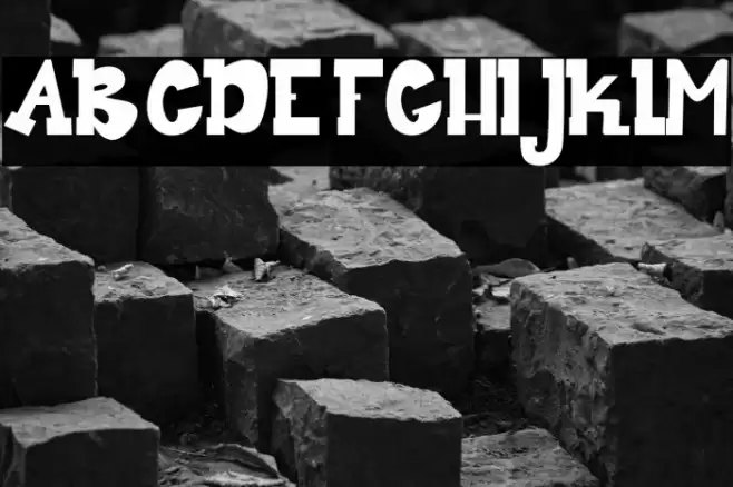 Dear My Bro Polices examples