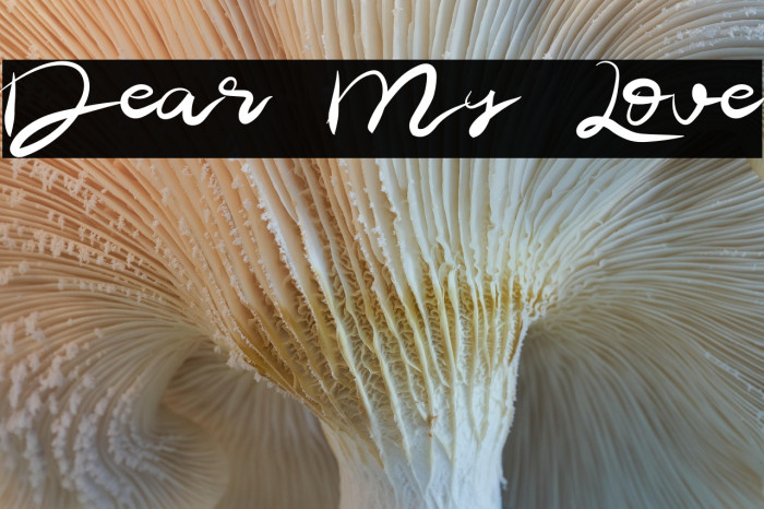 Dear My Love Example 2