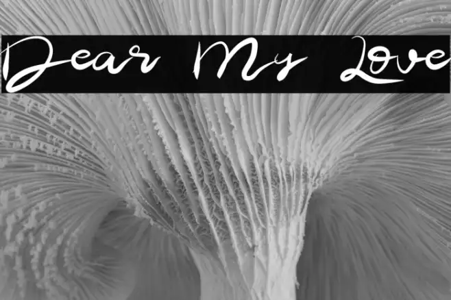Dear My Love Example 2