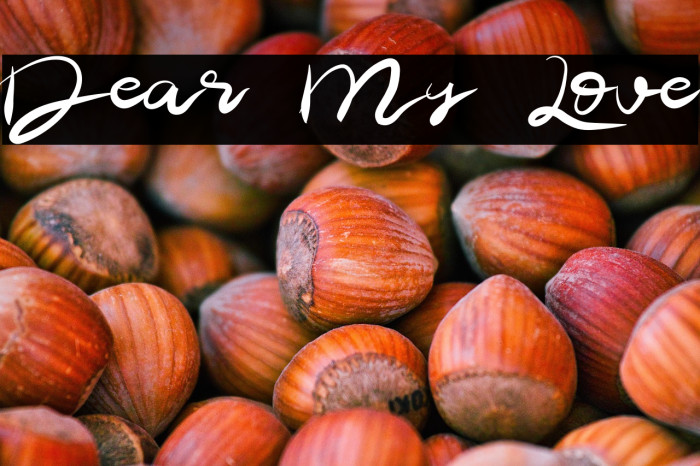 Dear My Love Example 3