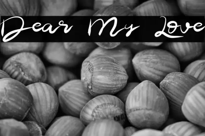 Dear My Love Example 3