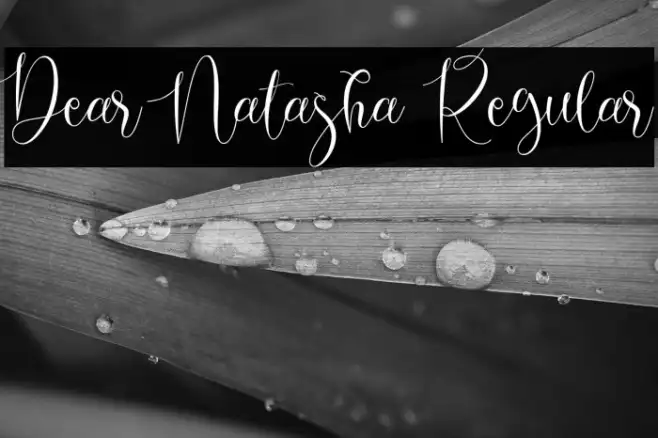Dear Natasha Regular Example 2