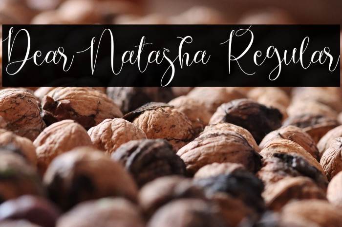 Dear Natasha Regular Example 3