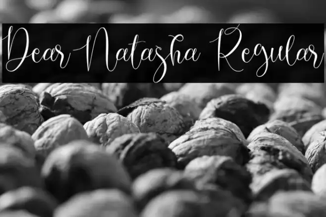 Dear Natasha Regular Example 3