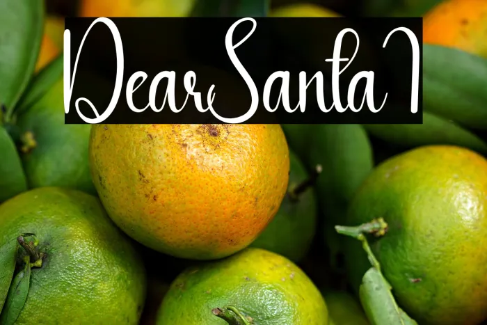 Dear Santa1 Example 2