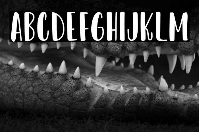 Dear Sunshine Example 1