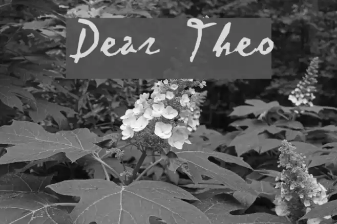Dear Theo Caratteri examples