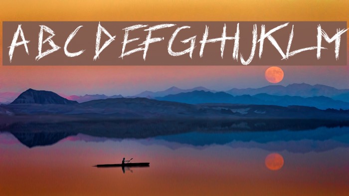 Dear Zebra Example 1