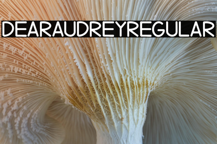 DearAudreyRegular Example 3