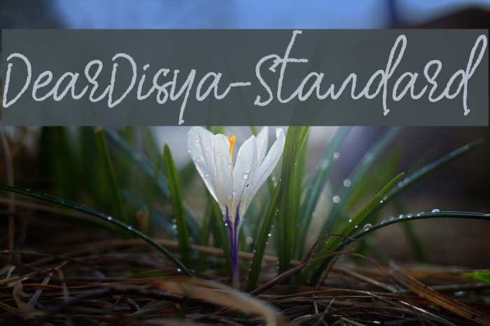 DearDisya-Standard Font examples