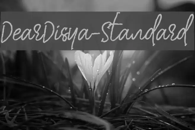 DearDisya-Standard Example 2