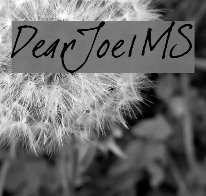 DearJoe1MS Example 3