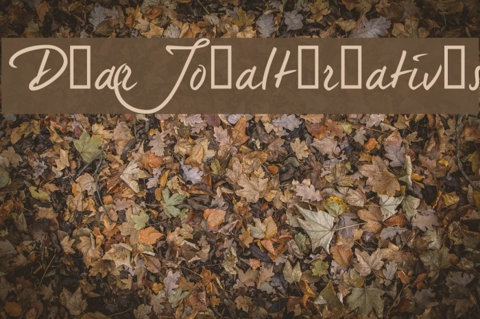 DearJoe5alternatives Example 2