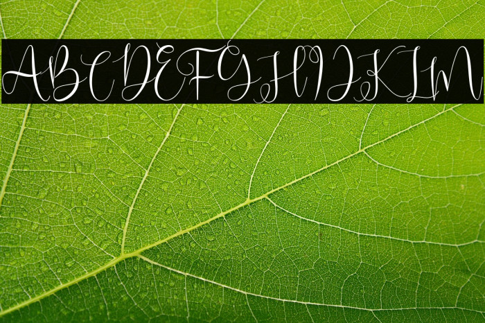 DearNatasha-Regular Example 1