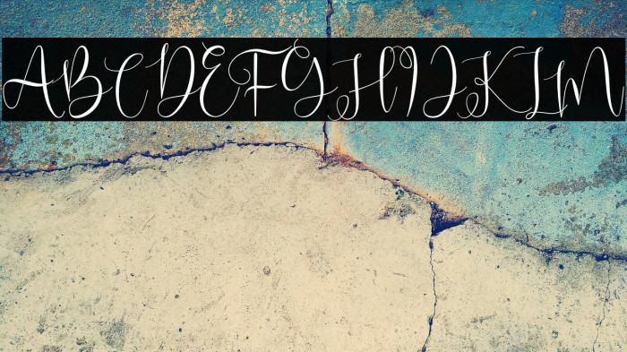 DearNatasha-Regular Example 3