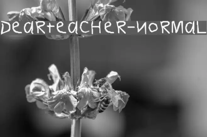 DearTeacher-Normal Font examples