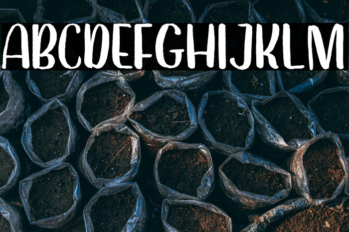 Dearday-Sans Example 2