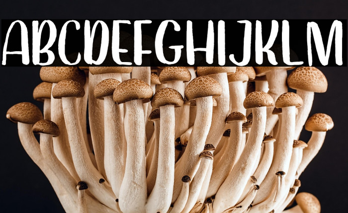 Dearday-Sans Example 2