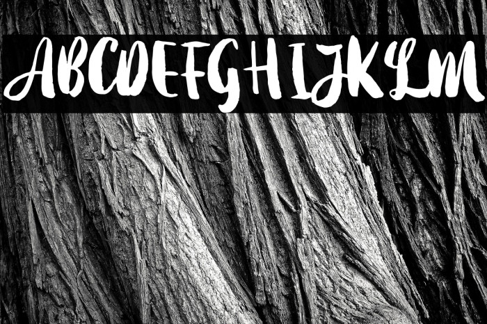 Dearday-Script Example 2