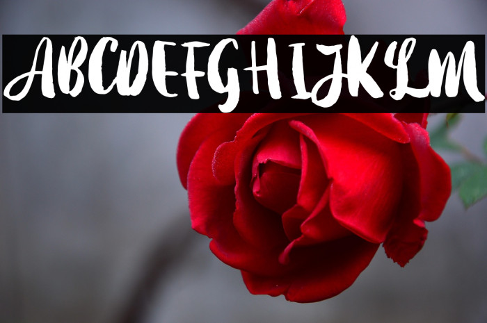 Dearday-Script Example 3