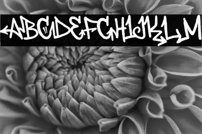 Deardorf Alternate Demo Font examples