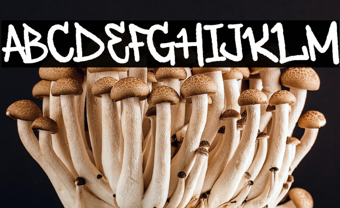 Deardorf Demo Example 2