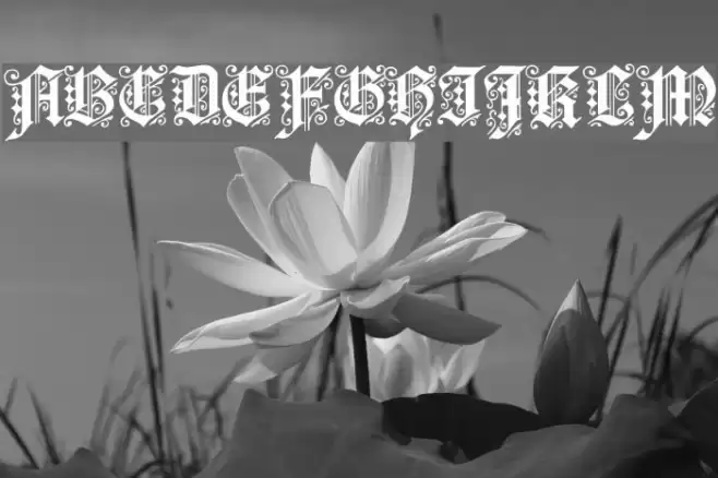 Dearest Шрифта examples