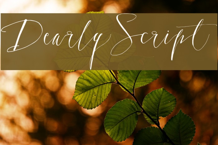 DearlyScript Font examples