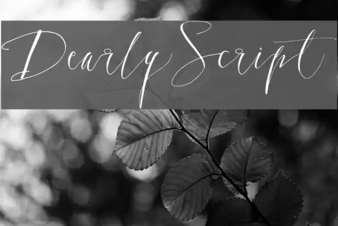 DearlyScript Font examples
