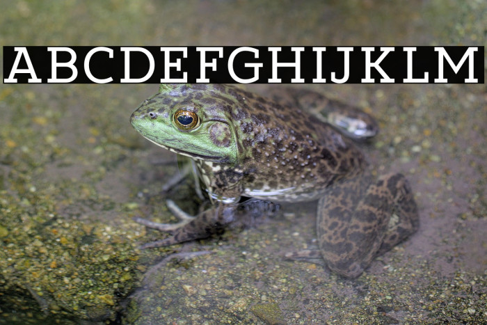 DearlylovedSlabOne Example 1