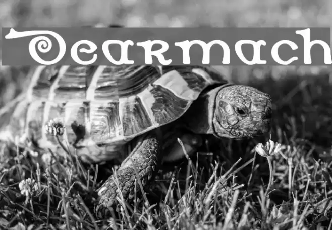 Dearmach Font examples