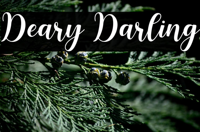 Deary Darling Example 3